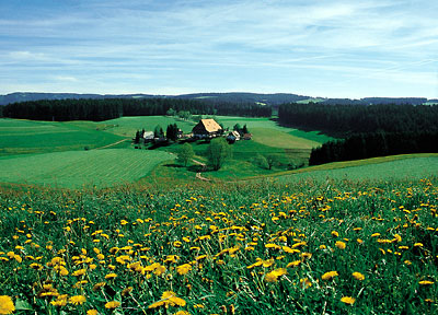 Bei Schönwald im Schwarzwald